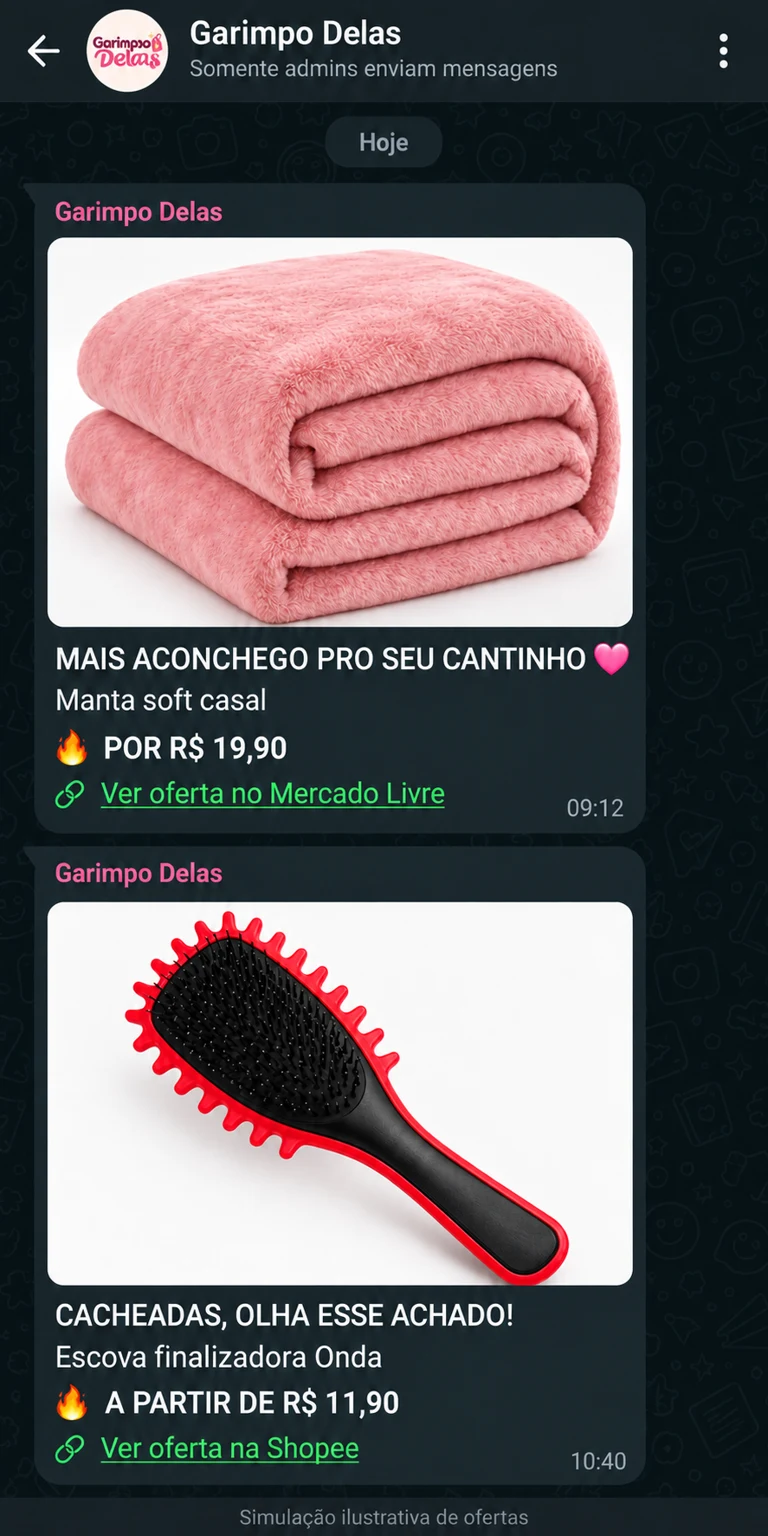 Print do grupo Garimpo Delas no WhatsApp com ofertas de manta e escova